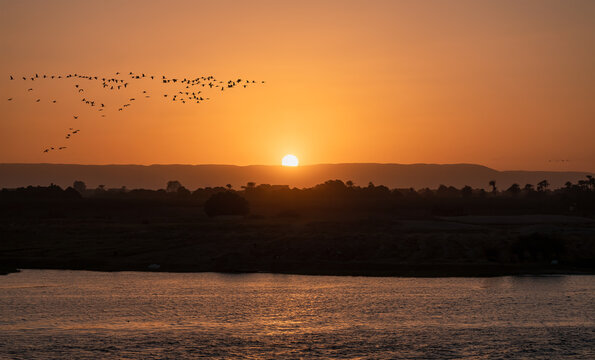 Beautiful sunset on the Nile river - Flock of migration birds flying in V formation against sunset sky - Nile river, Egypt