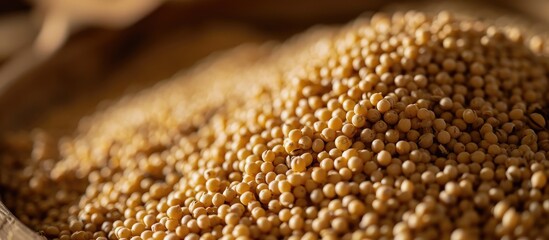 Close-up of foxtail millet grains, emphasizing their organic texture and natural golden hue; the second most cultivated millet in India.