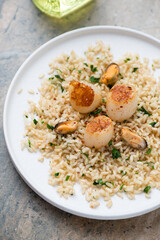 Seared scallops with brown rice, mussels, lemon zest and parsley on a white plate, vertical shot, middle close-up, selective focus