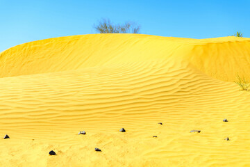 Sand dunes in selective focus in the Astrakhan desert, Russia. Wild desert.