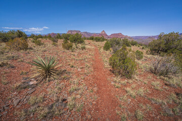 hiking the grandview trail in the grand canyon national park, arizona, usa