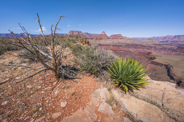 hiking the grandview trail in the grand canyon national park, arizona, usa