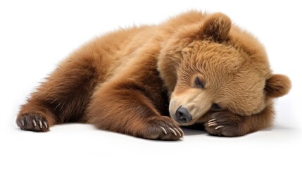 Obraz premium A brown bear is sleeping on a white surface