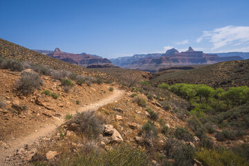 hiking the tonto trail in the grand canyon national park, arizona, usa