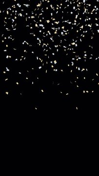 金と銀の紙吹雪　4K-背景透過　縦 Happy Series Gold and Silver Confetti Falling[with Alpha Channel / Transparent Background]4K