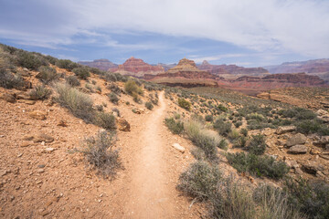 hiking the tonto trail in the grand canyon national park, arizona, usa