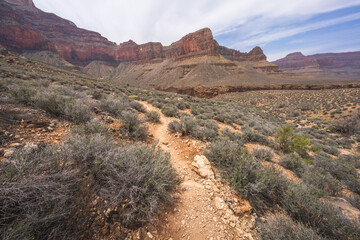 hiking the tonto trail in the grand canyon national park, arizona, usa