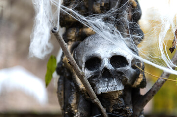 Skull in cobwebs - spooky scary Halloween decoration