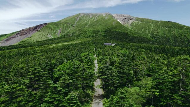 【夏の御嶽山】王滝口田ノ原ドローン映像集②　日本の山　長野県