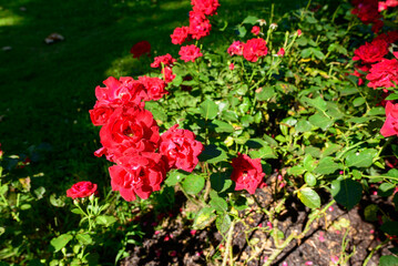 A traditional village old seaside resort in the middle of the countryside in Europe, France, Burgundy, Nievre, Saint-Honoré-les-Bains, towards Chateau Chinon, in summer on a sunny day.
