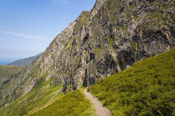 A hiking path in the green countryside , in Europe, in France, Occitanie, in the Hautes-Pyrenees, in summer, on a sunny day.