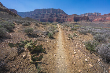 hiking the tonto trail in the grand canyon national park, arizona, usa