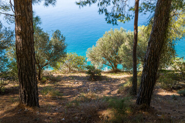 The arid rocky coast and its green countryside along small beaches, in Europe, Greece, Peloponnese, Argolis, Nafplio, Myrto seashore, in summer, on a sunny day.