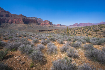 hiking the tonto trail in the grand canyon national park, arizona, usa