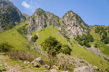 The mountains in the green countryside , Europe, France, Occitanie, Hautes-Pyrenees, in summer on a sunny day.