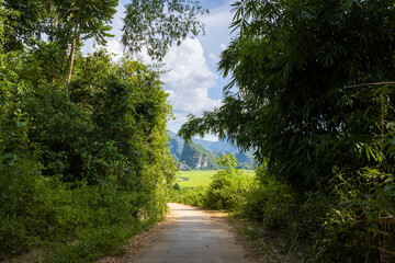 Fototapeta na wymiar A concrete path in the middle of green rice fields and green mountains, in Asia, Vietnam, Tonkin, between Son La and Dien Bien Phu, in summer, on a sunny day.