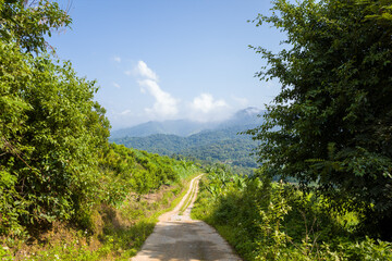 A path in the middle of the green mountains, in Asia, in Vietnam, in Tonkin, in Dien Bien Phu, in summer, on a sunny day.