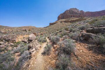 hiking the tonto trail in the grand canyon national park, arizona, usa