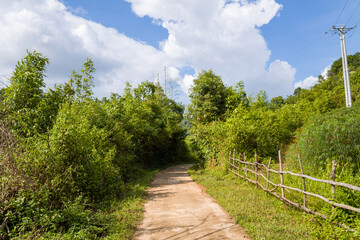A concrete path in the green countryside , Asia, Vietnam, Tonkin, Dien Bien Phu, in summer on a sunny day.