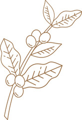 Linear Coffee Tree Branch Icon