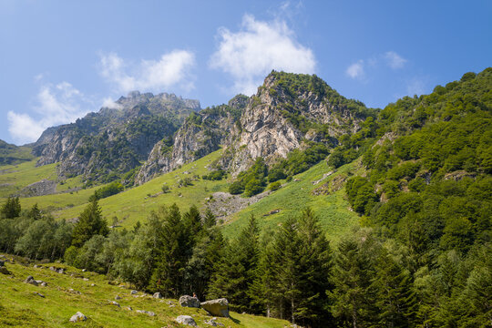 The mountains in the green countryside , Europe, France, Occitanie, Hautes-Pyrenees, in summer on a sunny day.