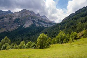 The green countryside among the mountains , Europe, France, Occitanie, Hautes-Pyrenees, in summer on a sunny day.