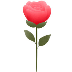 Naklejka premium Hand drawn red rose , Valentine's day png illustration