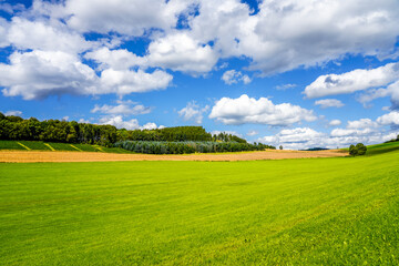 Landscape near Finnentrop. Nature with fields and forests in the Sauerland.
