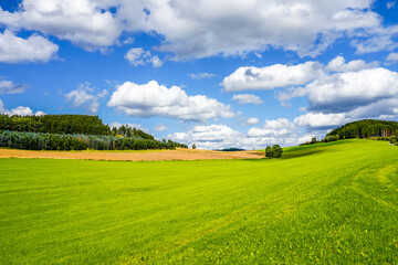 Landscape near Finnentrop. Nature with fields and forests in the Sauerland.
 - obrazy, fototapety, plakaty