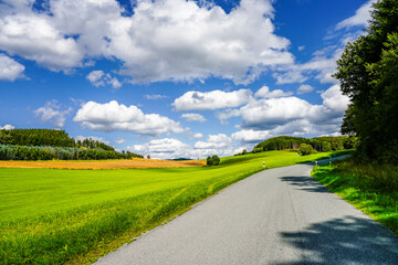 Landscape near Finnentrop. Nature with fields and forests in the Sauerland.
 - obrazy, fototapety, plakaty
