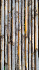 Background texture of dry bamboo cane. Flat lay, vertical frame, close-up