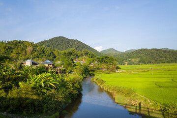 A river at the foot of a village on the edge of rice fields and mountains, in Asia, Vietnam, Tonkin, between Son La and Dien Bien Phu, in summer, on a sunny day.