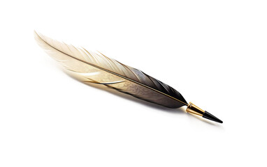 The Artistry of Quill and Pen Combinations isolated on transparent Background