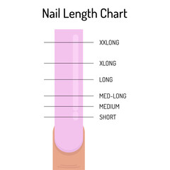 Nail length table. Nail file chart. Vector infographics - obrazy, fototapety, plakaty