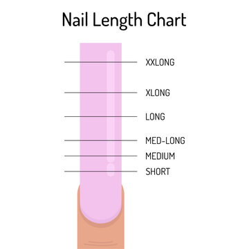 Nail length table. Nail file chart. Vector infographics