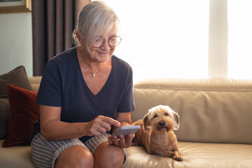 Smiling senior woman sitting in living room with the family dog using mobile phone, modern old...