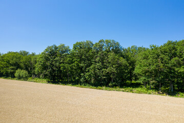 The green countryside with its forests and fields in Europe, France, Burgundy, Nievre, towards Nevers, in summer, on a sunny day.