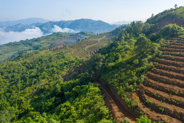 The clouds above the city seen from the green mountains , in Asia, Vietnam, Tonkin, Dien Bien Phu, in summer, on a sunny day.