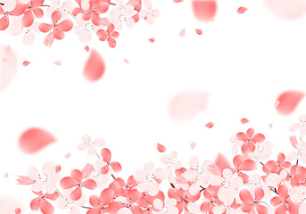 Obraz na płótnie Canvas Cherry Blossom Pink Flowers Background. Sakura Bloom Frame Illustration. Spring Flower Border. 