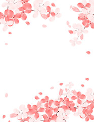 Sakura Flower Frame. Cherry Blossom With Petals Falling Background. Spring Flower Bloom Illustration.