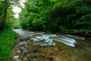 Obraz premium A Creek and small waterfall in the capathian at Hunedoara in Romania