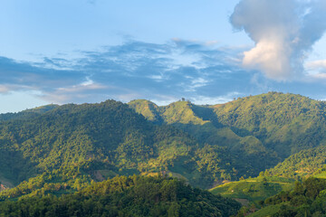 Fototapeta premium The green mountains in the tropical countryside, Asia, Vietnam, Tonkin, Dien Bien Phu, in summer, on a sunny day.