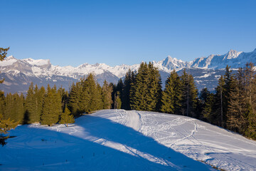 The Mont Blanc massif and its fir forests in Europe, France, Rhone Alpes, Savoie, Alps, in winter, on a sunny day.