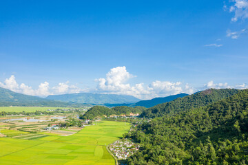 The traditional villages in the middle of the green and yellow rice fields in the valley, Asia, Vietnam, Tonkin, Dien Bien Phu, in summer, on a sunny day.