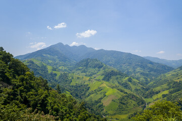The forests above the green mountains, in Asia, Vietnam, Tonkin, between Dien Bien Phu and Lai Chau, in summer, on a sunny day.