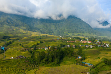 The green and yellow rice terraces at the foot of the green mountains, in Asia, Vietnam, Tonkin, Sapa, towards Lao Cai, in summer, on a sunny day.
