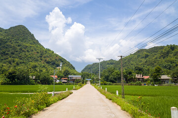 A path in the middle of the green rice fields in the mountains, in Asia, in Vietnam, in Tonkin, towards Hanoi, in Mai Chau, in summer, on a sunny day.