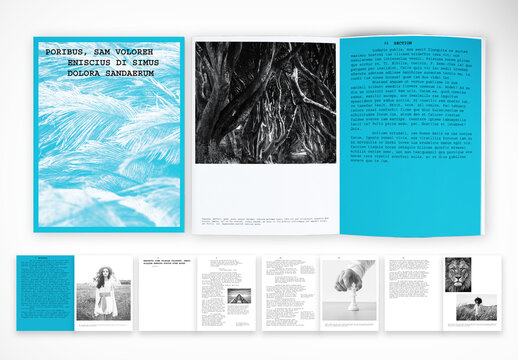Modern Monochrome Brochure