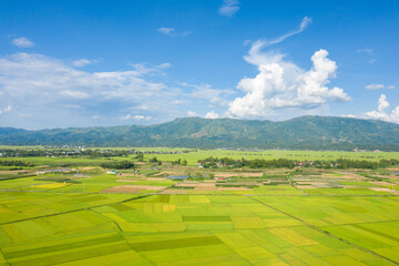 Fototapeta na wymiar The traditional villages in the middle of the green and yellow rice fields in the valley, Asia, Vietnam, Tonkin, Dien Bien Phu, in summer, on a sunny day.