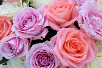 Beautiful bouquet of aromatic roses as background, closeup